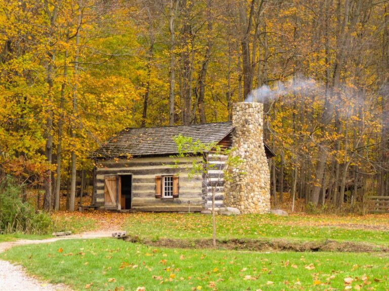 a cottage in the woods