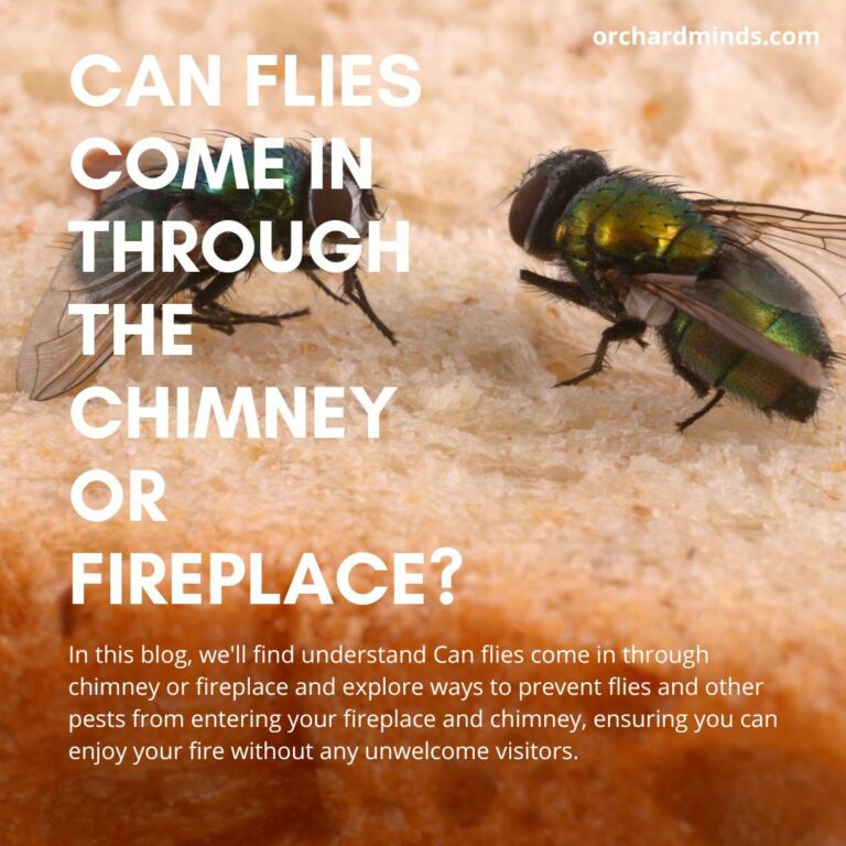 Can flies come in through the chimney or fireplace