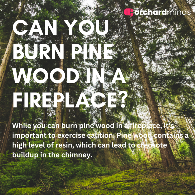 Can You Burn Pine Wood In A Fireplace