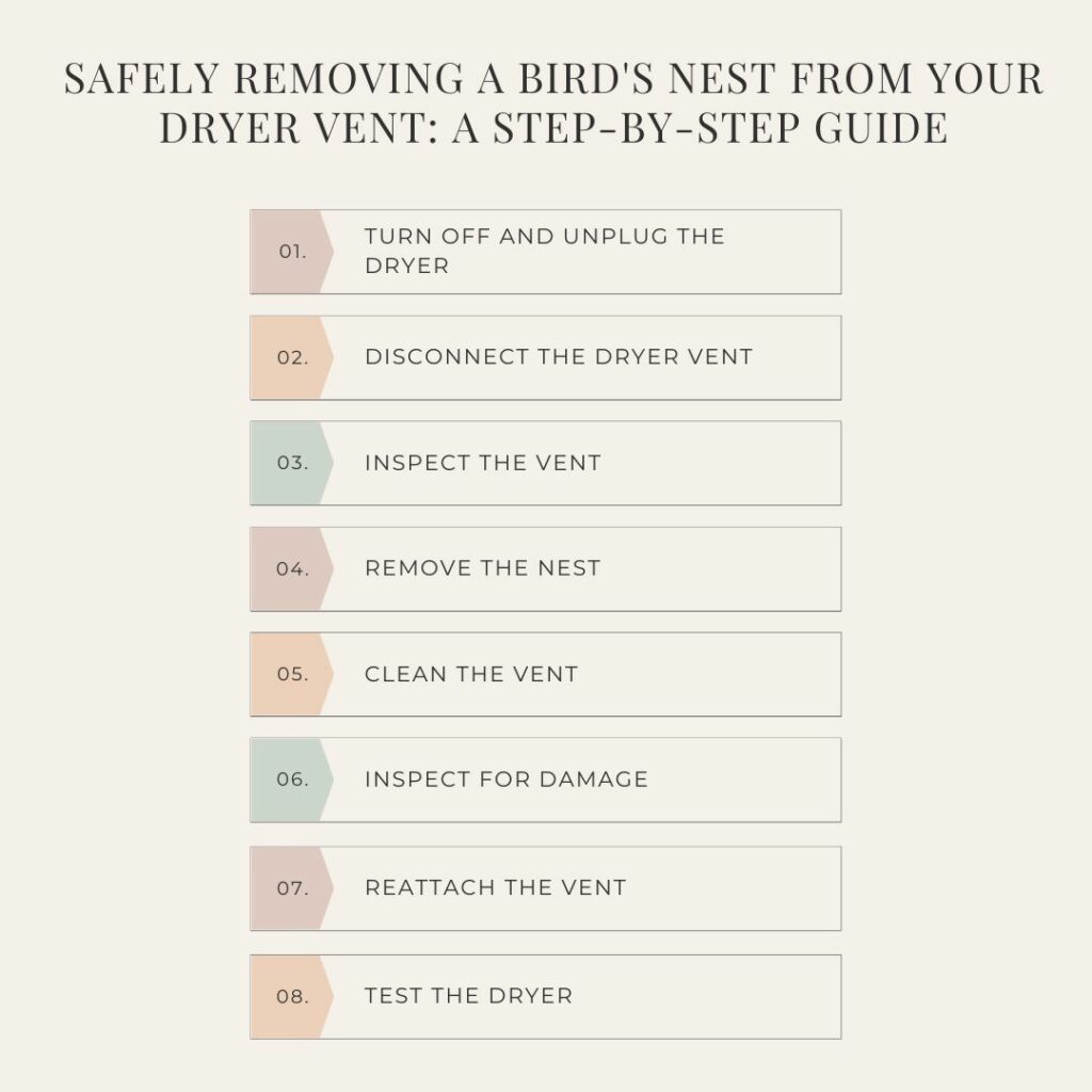 Safely Removing a Bird's Nest from Your Dryer Vent: A Step-by-Step Guide - How to safely remove a birds nest from a dryer vent